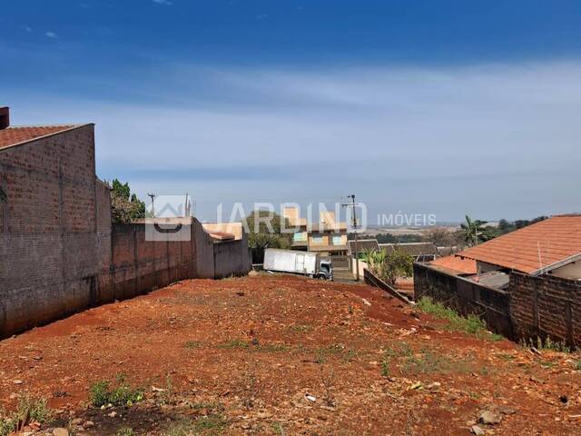 #39 - Terreno para Venda em Arapongas - PR - 3