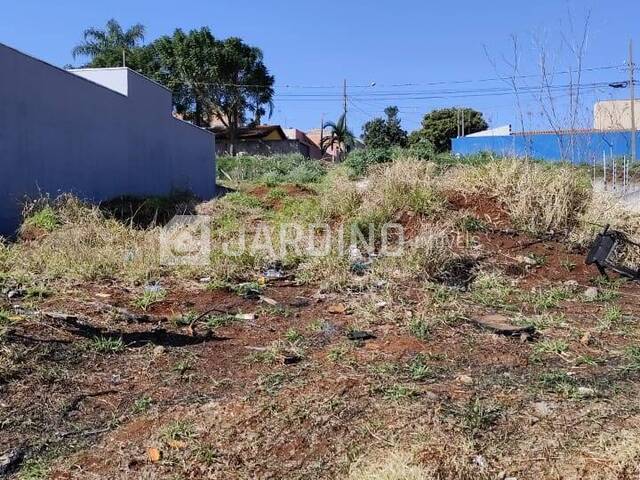 #46 - Terreno para Venda em Arapongas - PR - 1