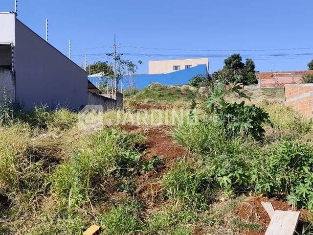 #46 - Terreno para Venda em Arapongas - PR - 2