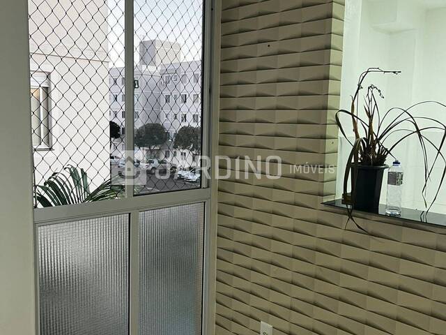 #48 - Apartamento para Venda em Arapongas - PR - 2