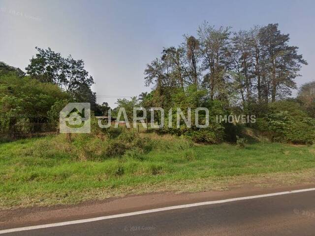 #87 - Chácara para Venda em Arapongas - PR - 2