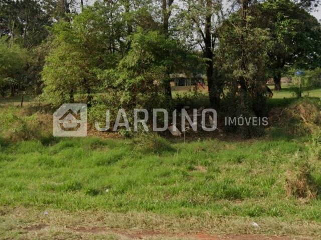 #87 - Chácara para Venda em Arapongas - PR - 3