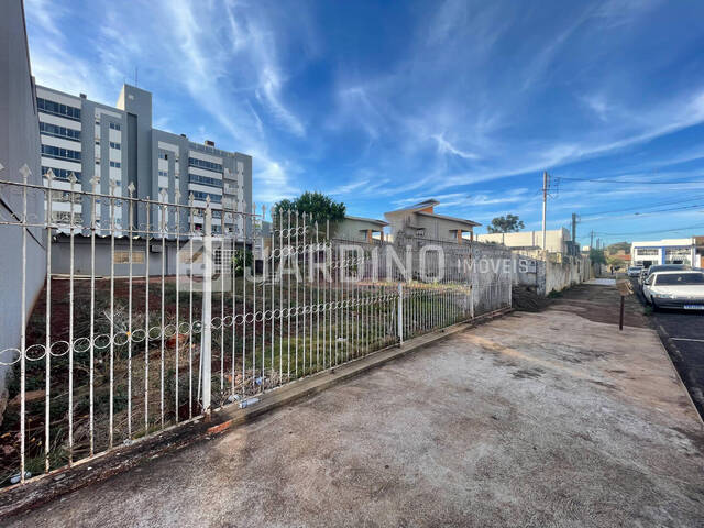 #97 - Terreno para Venda em Arapongas - PR - 3