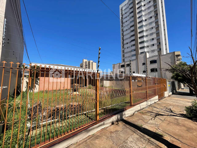 #111 - Casa para Locação em Arapongas - PR - 1