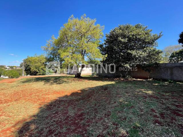 Terreno para Venda em Arapongas - 5