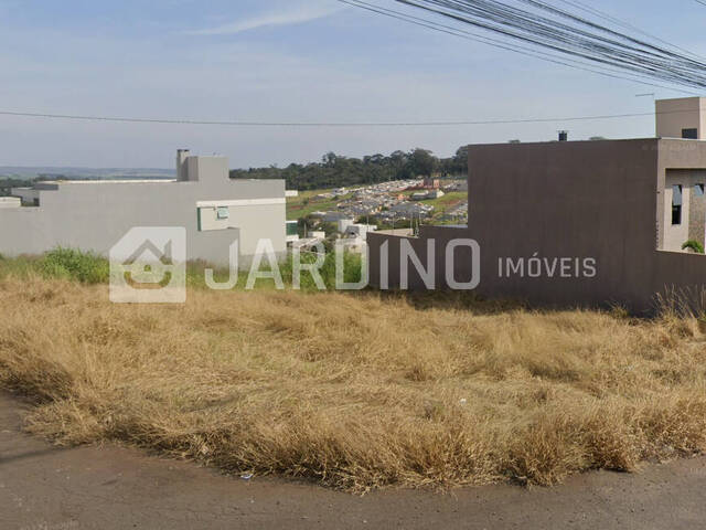 #10 - Terreno para Venda em Arapongas - PR - 1