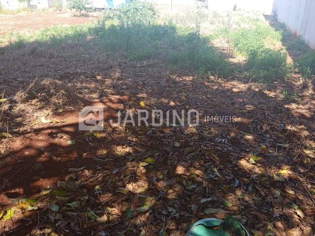 Terreno para Venda em Arapongas - 5