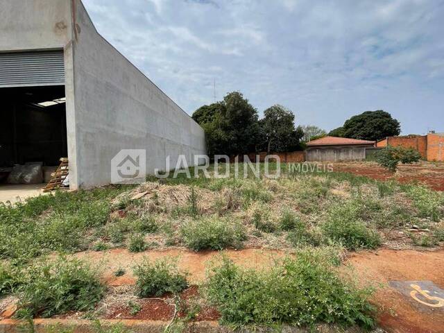 Terreno para Venda em Arapongas - 4