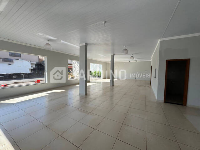 Sala para Locação em Arapongas - 4