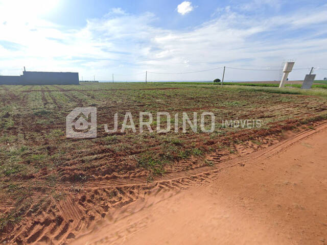 #161 - Chácara para Venda em Rolândia - PR - 1