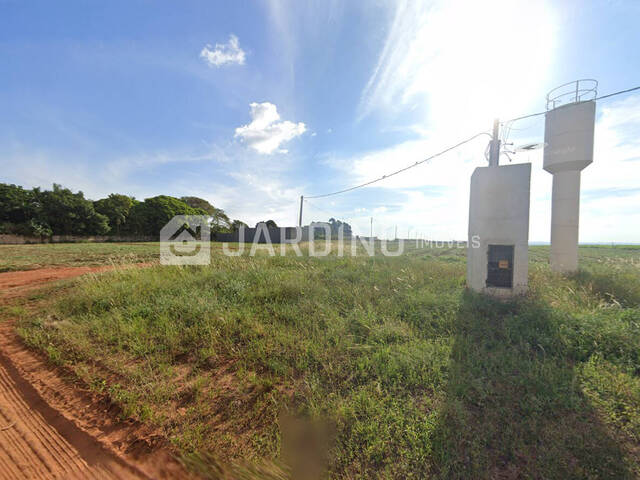 #161 - Chácara para Venda em Rolândia - PR - 3