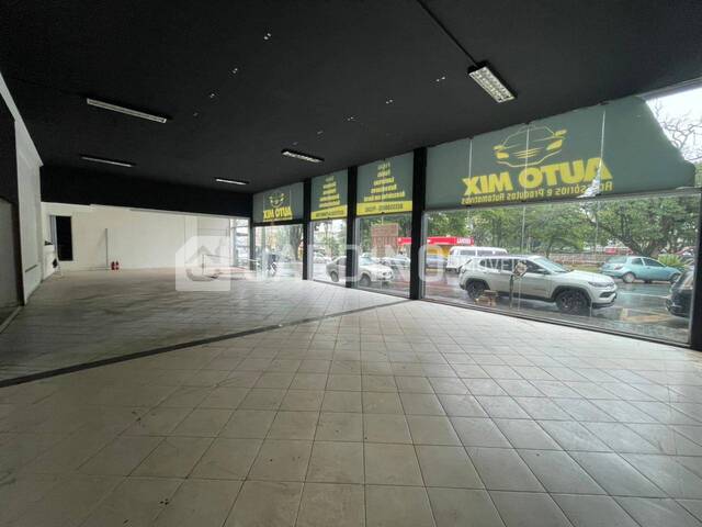 Sala para Locação em Arapongas - 5