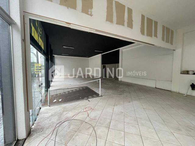 #180 - Sala para Locação em Arapongas - PR - 3