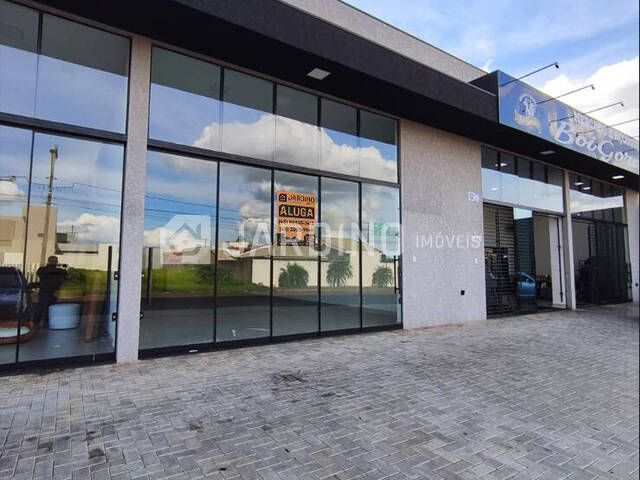 #218 - Sala para Locação em Arapongas - PR - 1