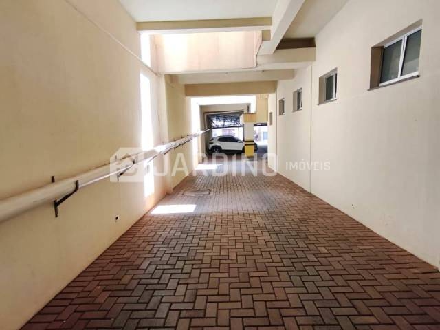 #219 - Apartamento para Locação em Arapongas - PR - 2