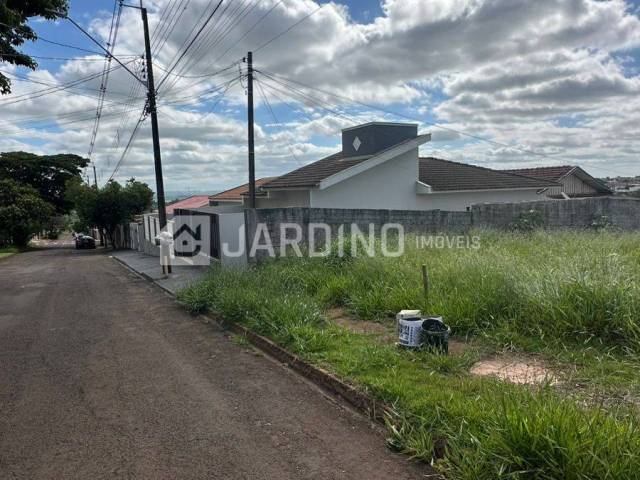#240 - Terreno para Venda em Arapongas - PR - 3