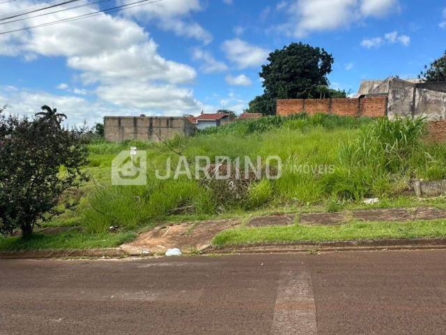 #241 - Terreno para Venda em Arapongas - PR - 2