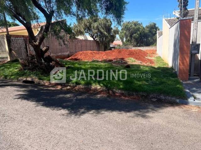 #249 - Área para Venda em Arapongas - PR - 1