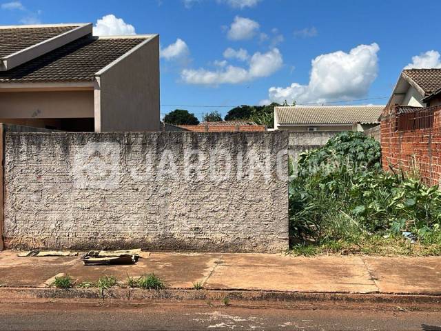 #207 - Terreno para Venda em Sabáudia - PR - 2