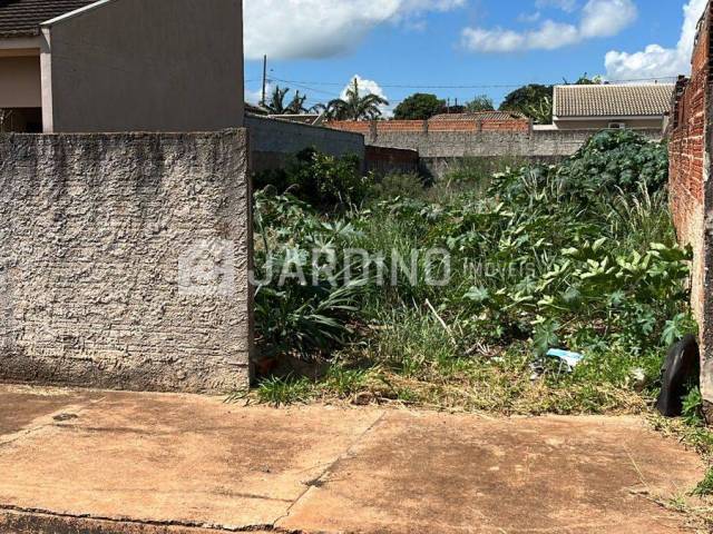 #207 - Terreno para Venda em Sabáudia - PR - 3