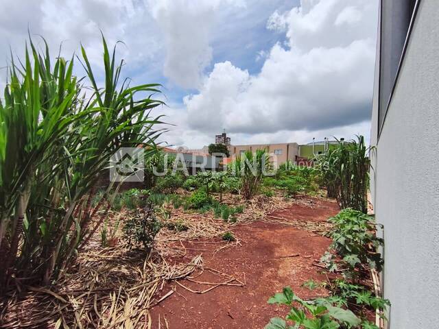 #296 - Terreno para Venda em Arapongas - PR - 3