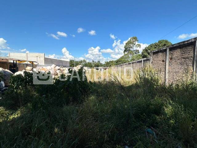 Terreno para Venda em Arapongas - 5