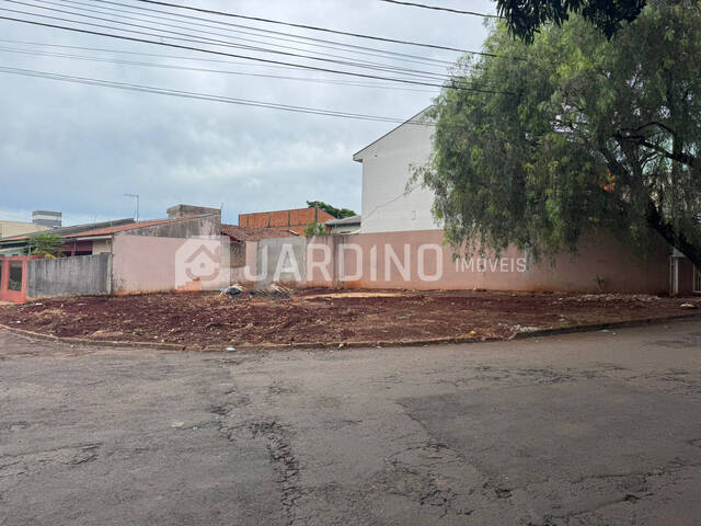 #310 - Terreno para Venda em Arapongas - PR - 1