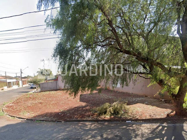 #310 - Terreno para Venda em Arapongas - PR - 2