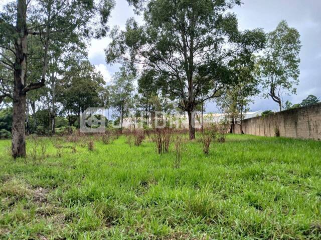 #315 - Terreno para Venda em Arapongas - PR - 3
