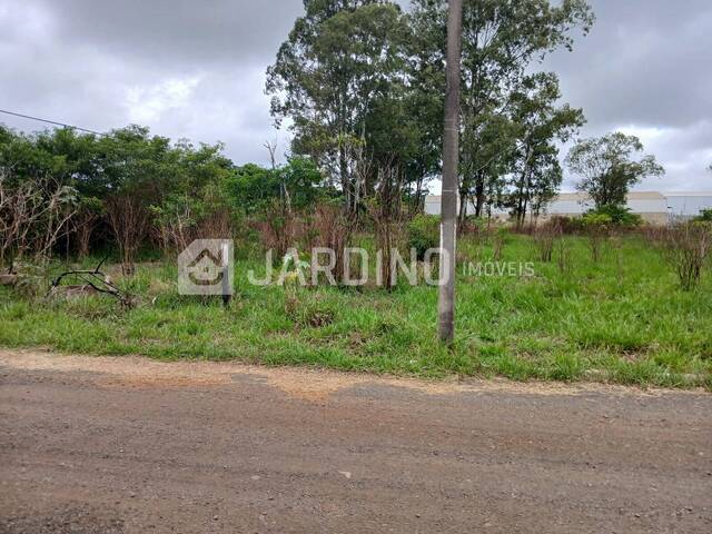 Terreno para Venda em Arapongas - 5