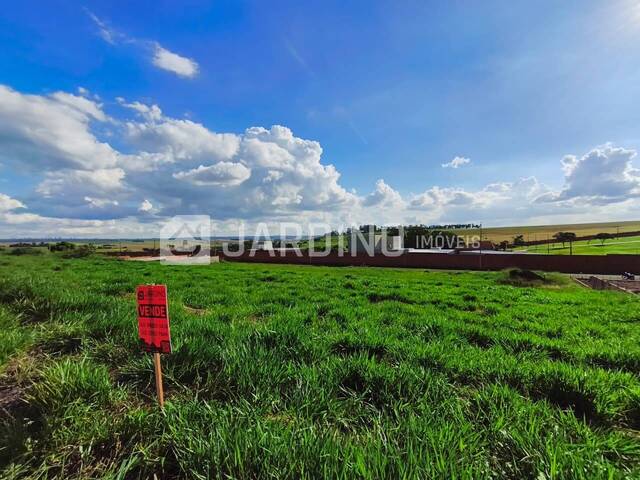 #61 - Terreno para Venda em Arapongas - PR - 2