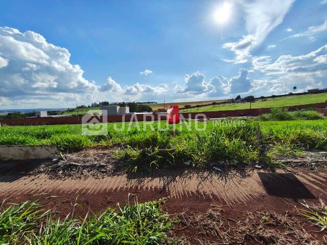 #61 - Terreno para Venda em Arapongas - PR - 1