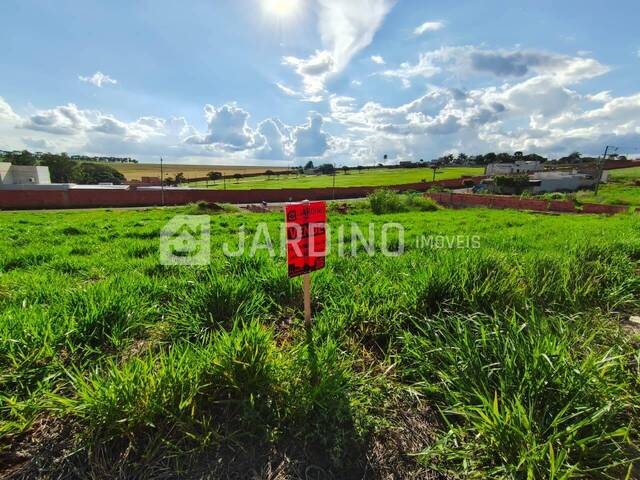#61 - Terreno para Venda em Arapongas - PR - 3