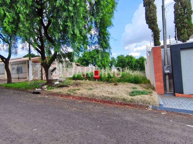 #190 - Terreno para Venda em Arapongas - PR - 1