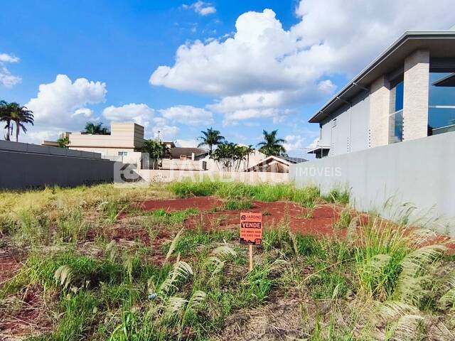 #397 - Terreno para Venda em Arapongas - PR - 1