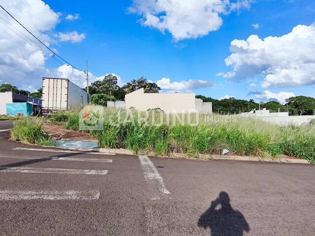 #407 - Terreno para Venda em Arapongas - PR - 3
