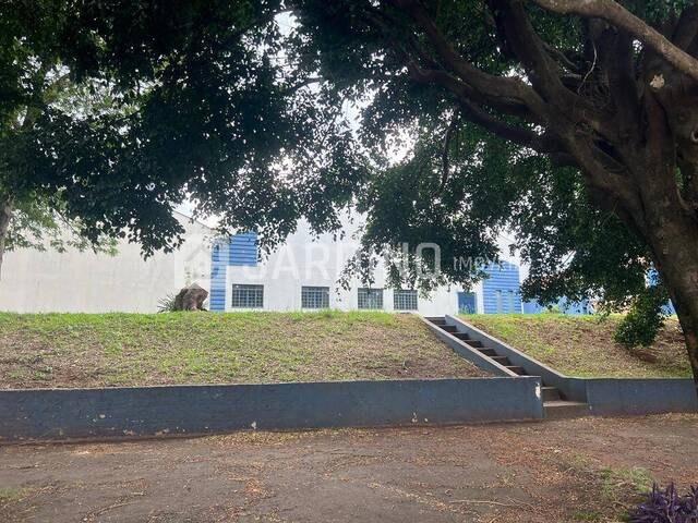 #419 - Barracão para Locação em Arapongas - PR - 1
