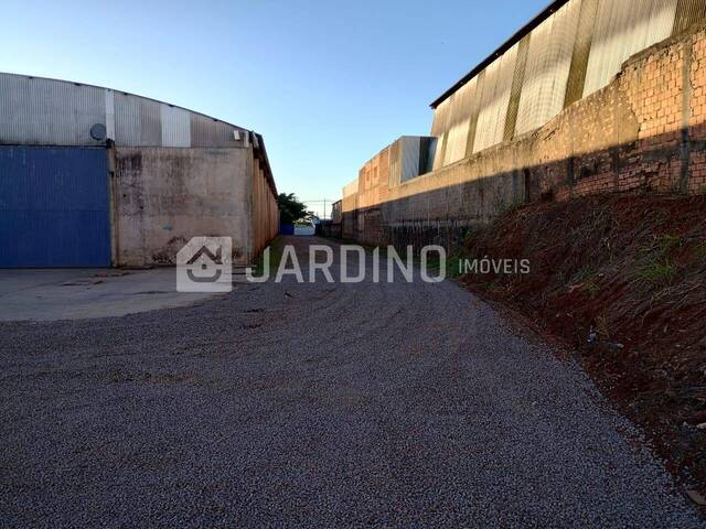 Barracão para Locação em Arapongas - 4