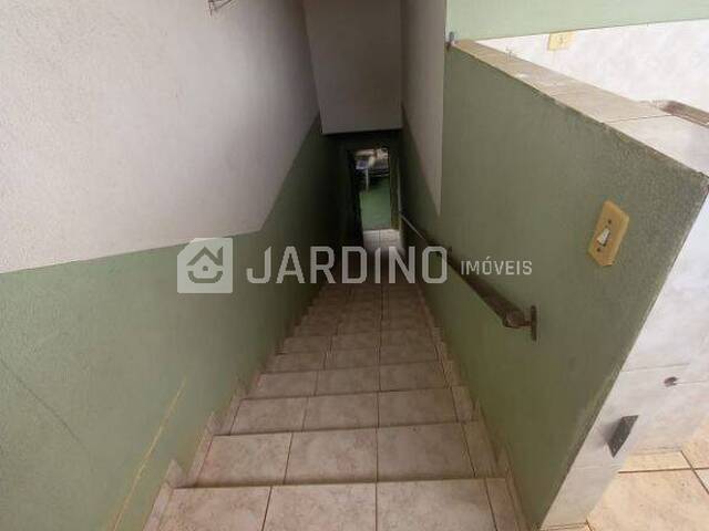 Apartamento para Locação em Arapongas - 4