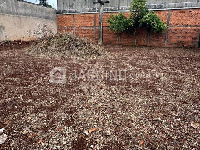 #442 - Terreno para Venda em Arapongas - PR - 2