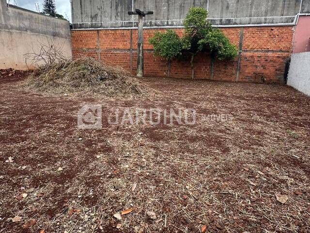 #442 - Terreno para Venda em Arapongas - PR - 3