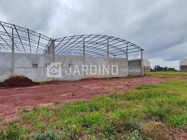 Barracão para Locação em Sabáudia - 5