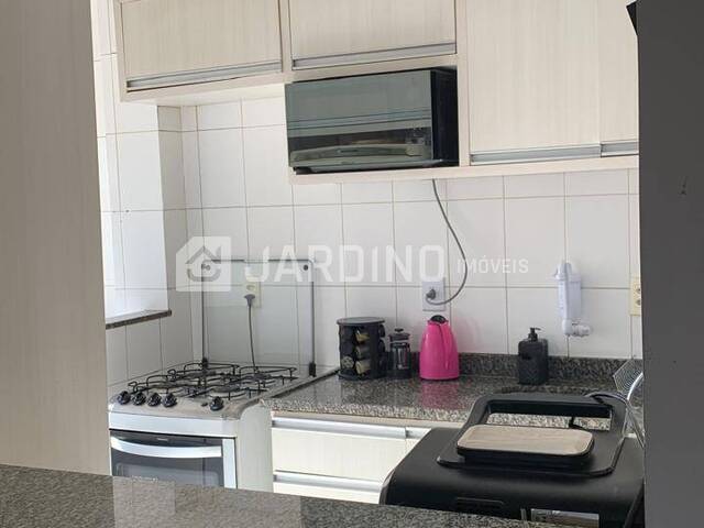 #452 - Apartamento para Locação em Arapongas - PR - 3