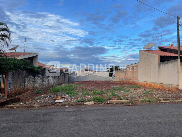 #479 - Área para Venda em Arapongas - PR - 1