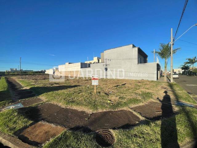 Terreno para Venda em Arapongas - 3