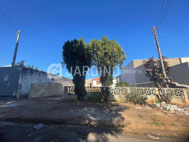 #555 - Área para Venda em Arapongas - PR - 1