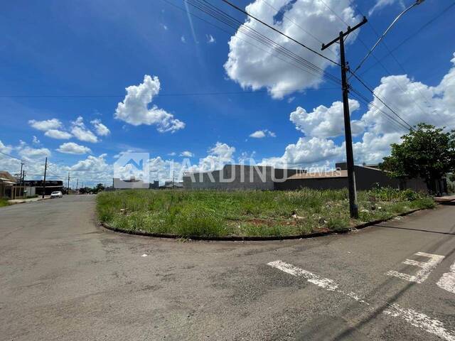 #557 - Terreno para Venda em Arapongas - PR - 1