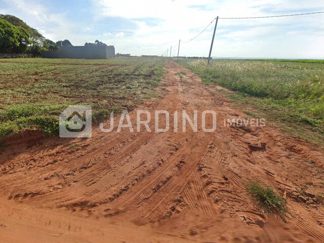 #408 - Chácara para Venda em Rolândia - PR - 2